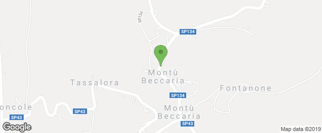 avvia il navigatore