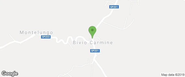 avvia il navigatore