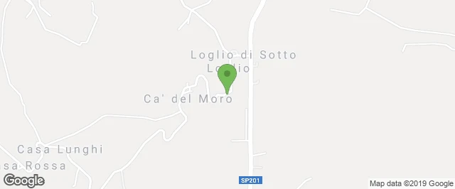 avvia il navigatore