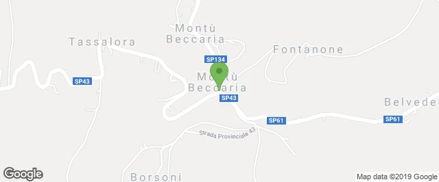 avvia il navigatore