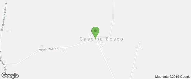 avvia il navigatore